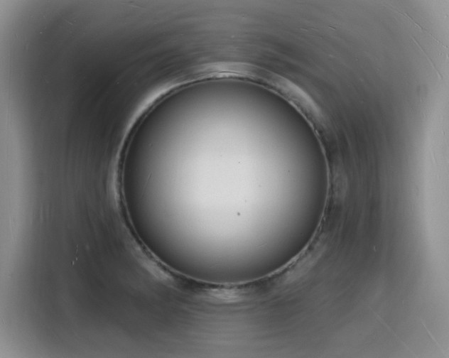 X0000116131182200911231229