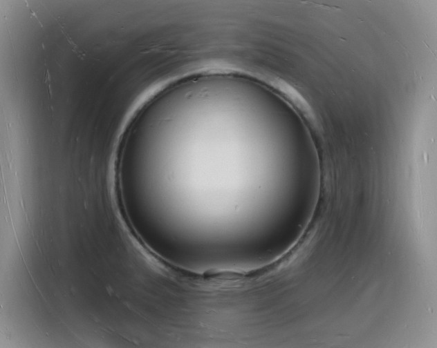 X0000116131183200911231229