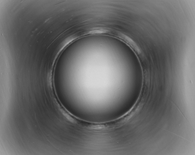 X0000116131186200911231229