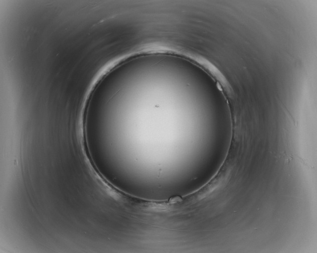 X0000116131191200911231229
