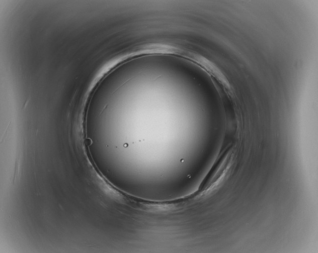 X0000116131192200911231229