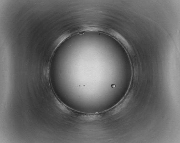 X0000116131193200911231229