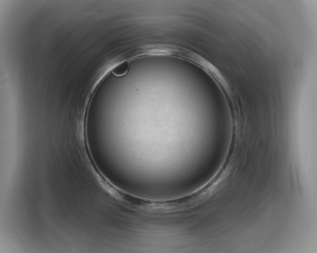 X0000116131194200911231229