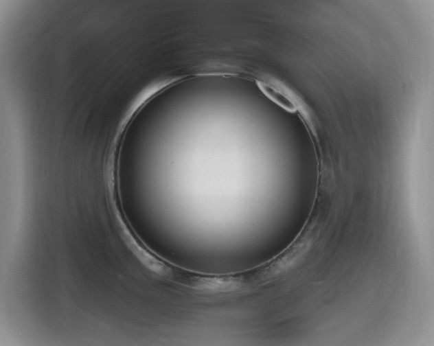 X0000116131195200911231229