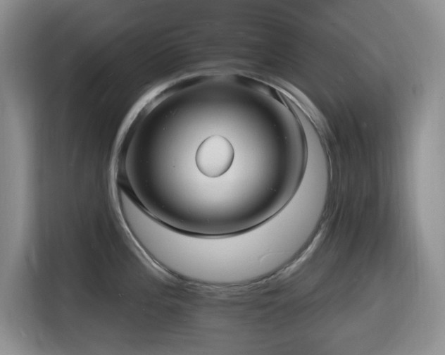 X0000116131196200911231229