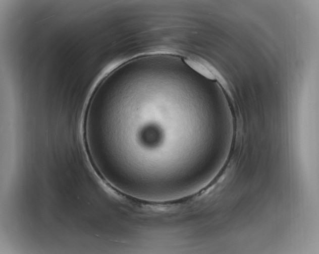 X0000116131197200911231229