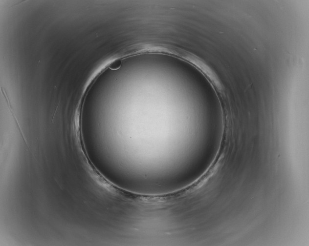 X0000116131198200911231229