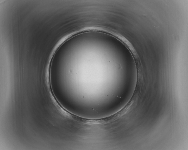 X0000116131199200911231229
