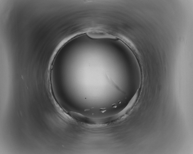 X0000116131200200911231229
