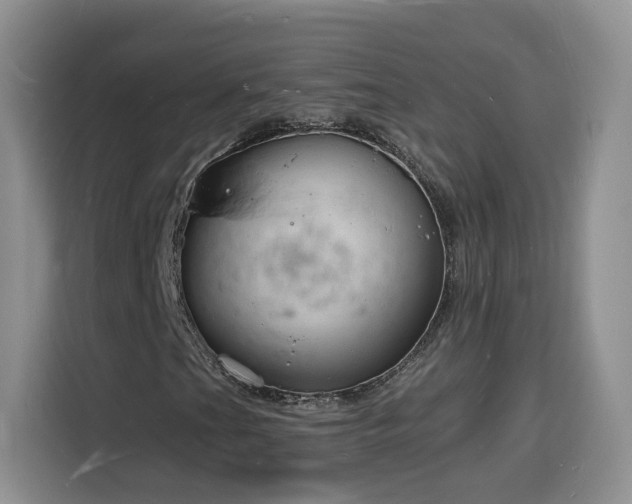 X0000116131201200911231228