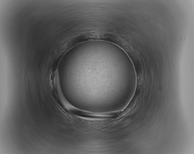 X0000116131202200911231228