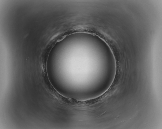 X0000116131206200911231228