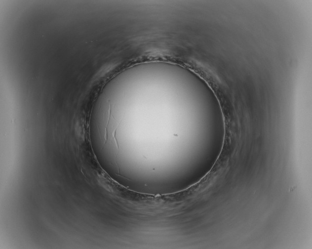 X0000116131207200911231228