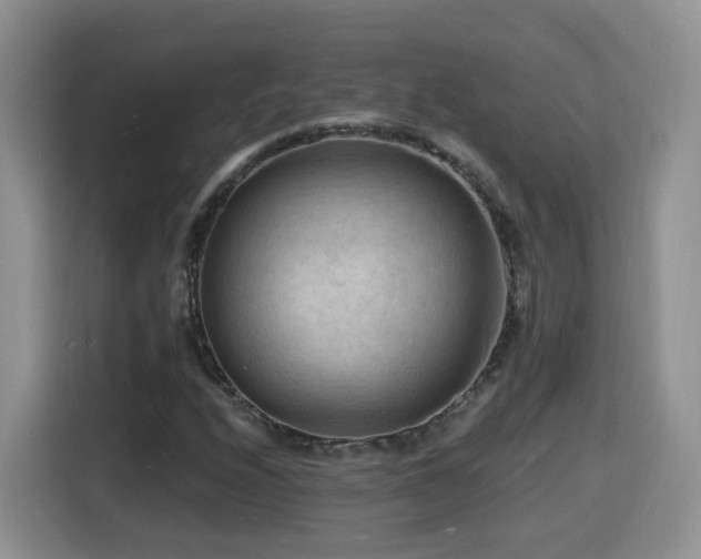 X0000116131208200911231228
