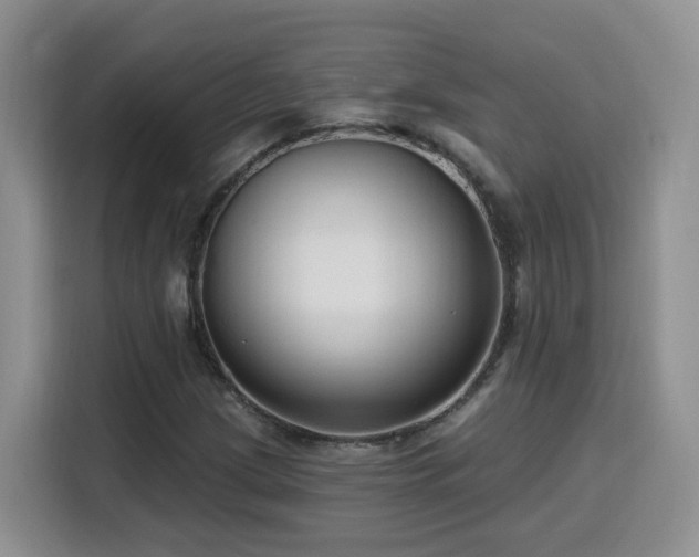 X0000116131209200911231228