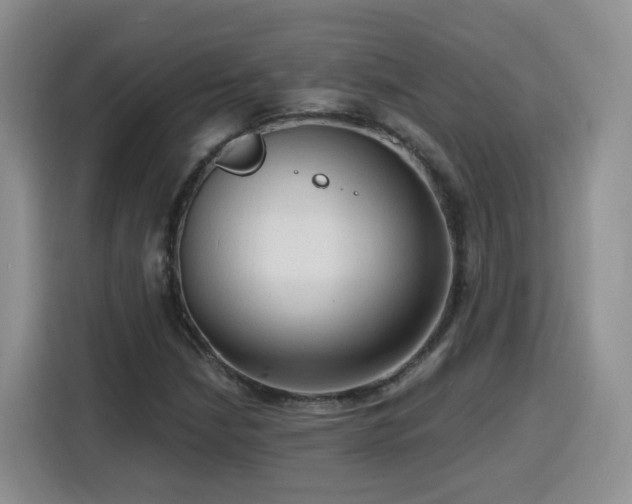 X0000116131210200911231228