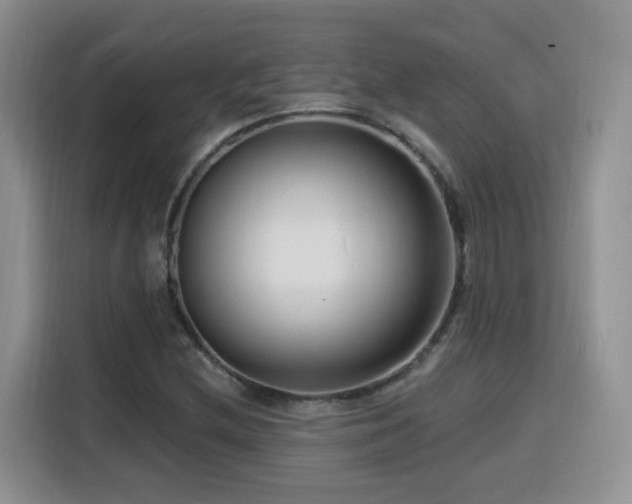 X0000116131212200911231228