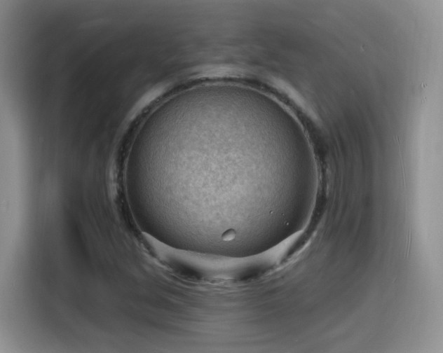 X0000116131213200911231228