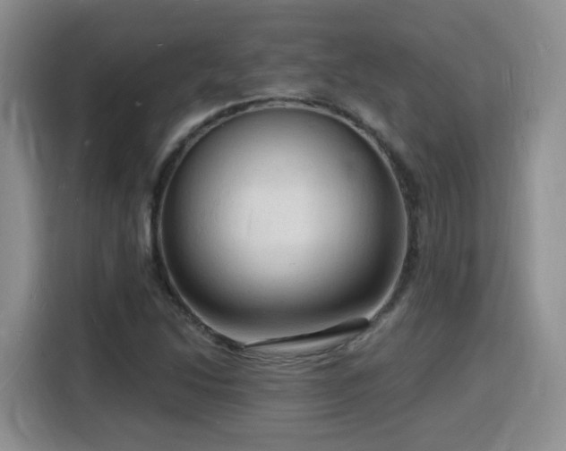 X0000116131214200911231228