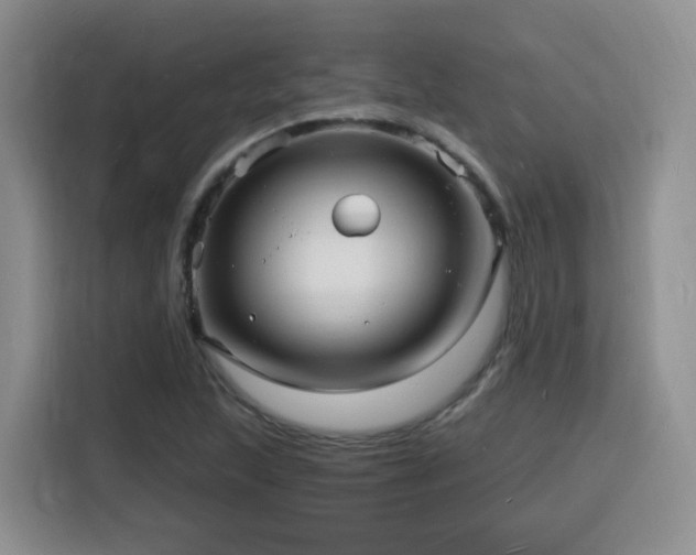 X0000116131215200911231228