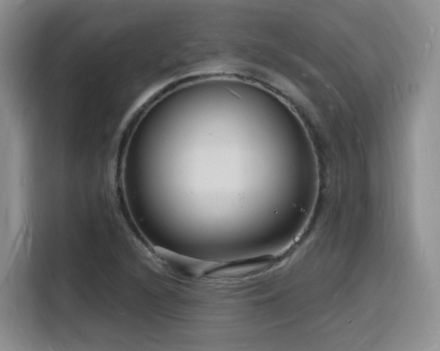X0000116131216200911231228