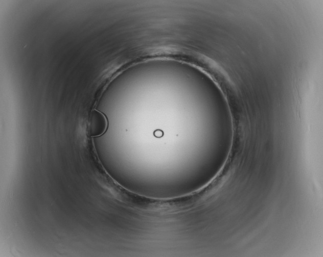 X0000116131217200911231228