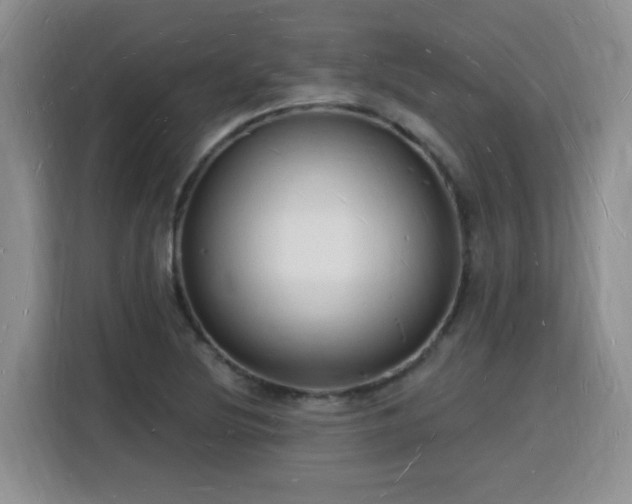 X0000116131220200911231228