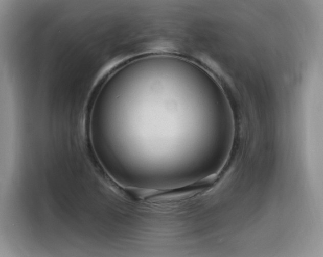 X0000116131222200911231228