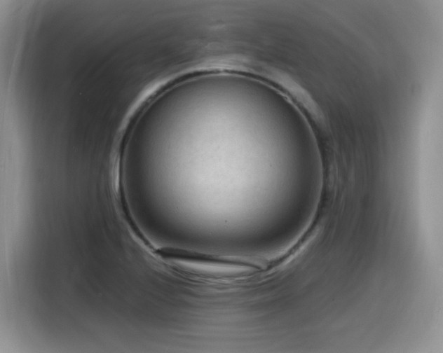 X0000116131224200911231228