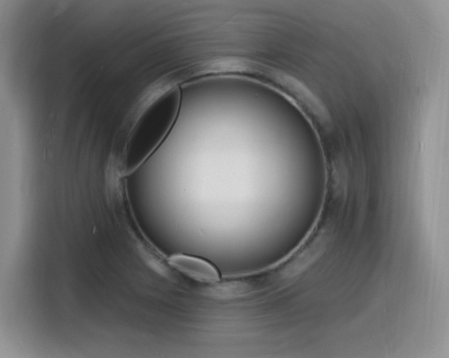 X0000116131225200911231228