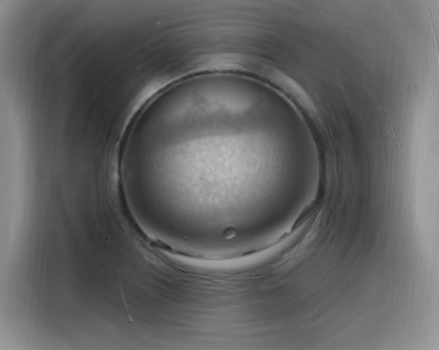 X0000116131226200911231228