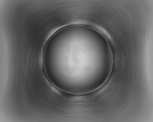 X0000116131228200911231228