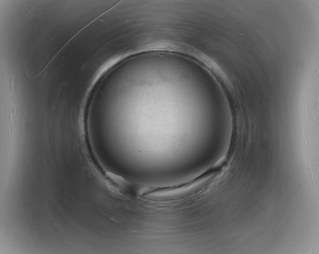 X0000116131230200911231229