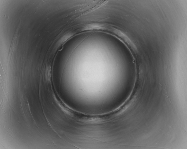 X0000116131233200911231229