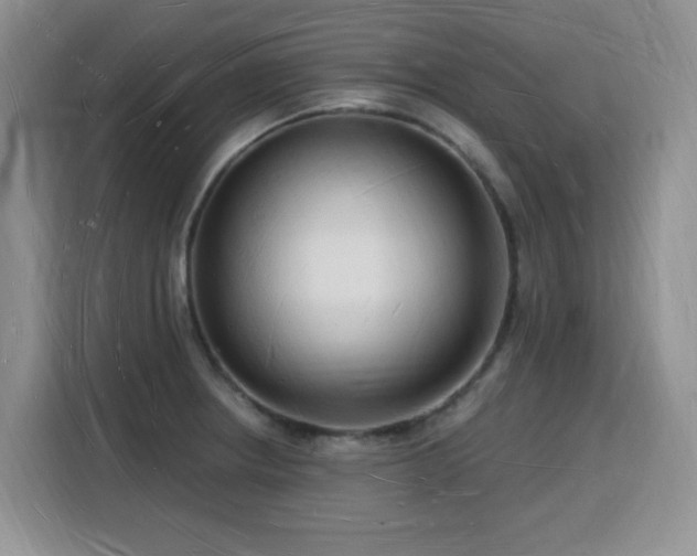 X0000116131234200911231229