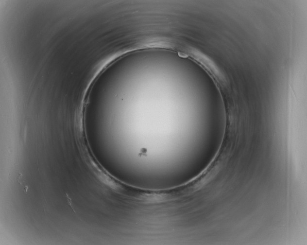 X0000116131236200911231229