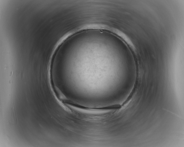 X0000116131237200911231229
