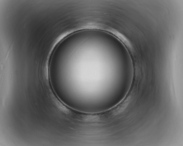 X0000116131238200911231229