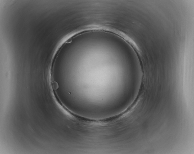 X0000116131239200911231229
