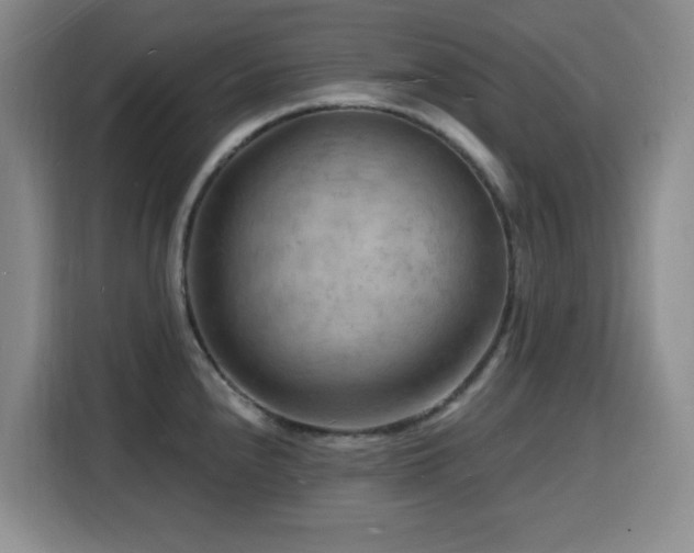 X0000116131240200911231229