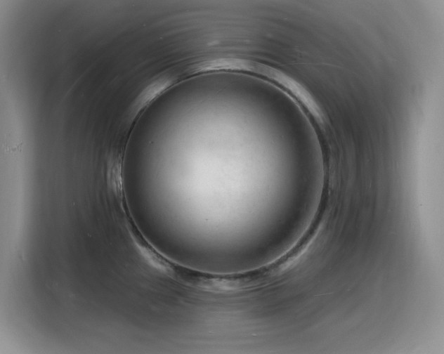 X0000116131241200911231229