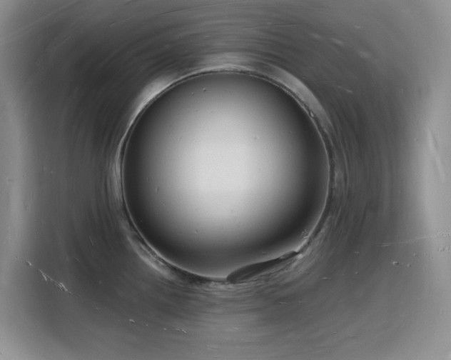 X0000116131242200911231229