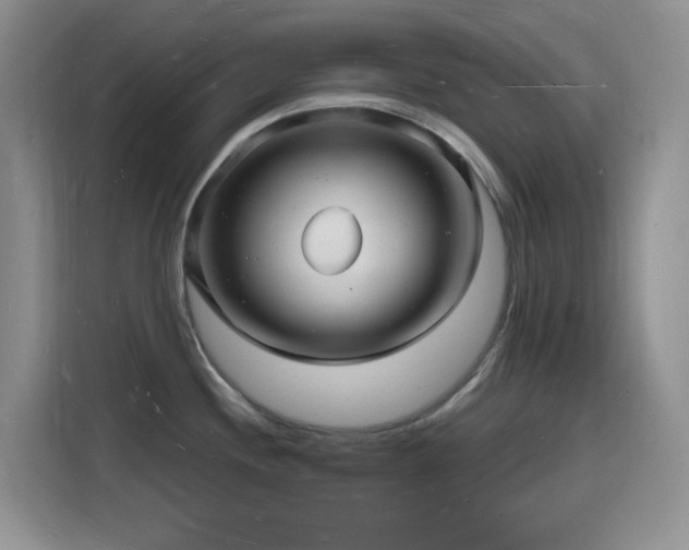 X0000116131244200911231229