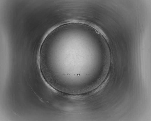 X0000116131247200911231229