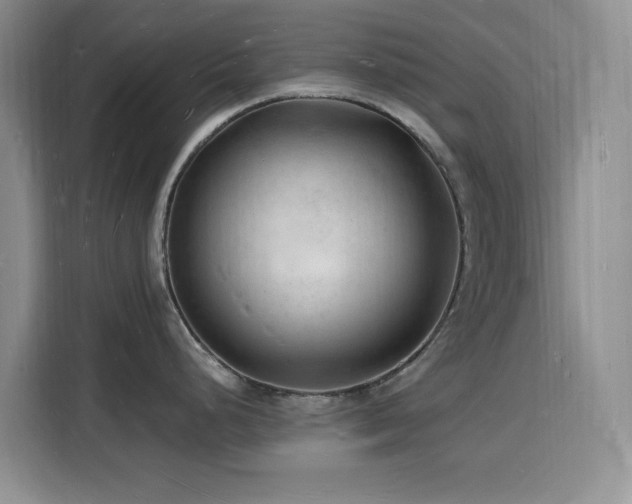 X0000116131248200911231229
