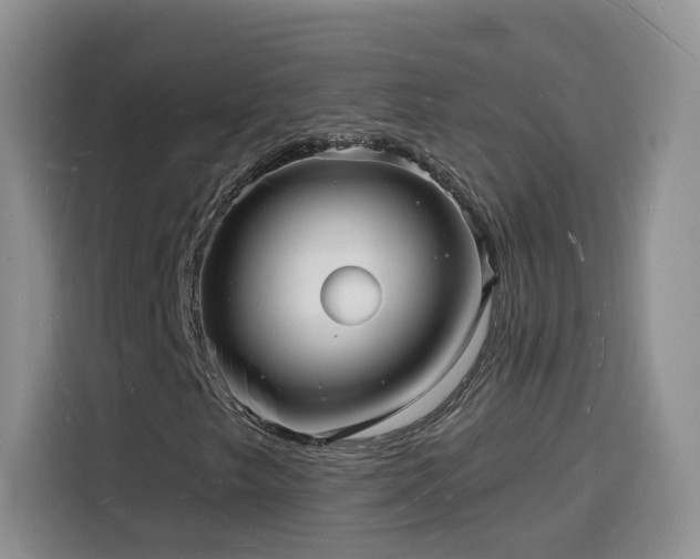 X0000116131249200911231228