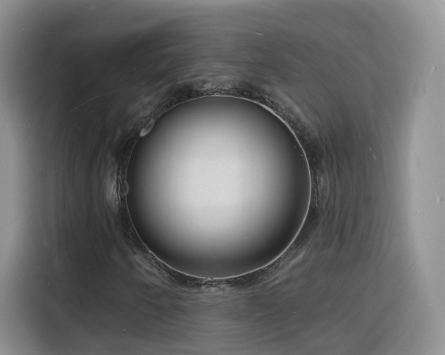 X0000116131250200911231228