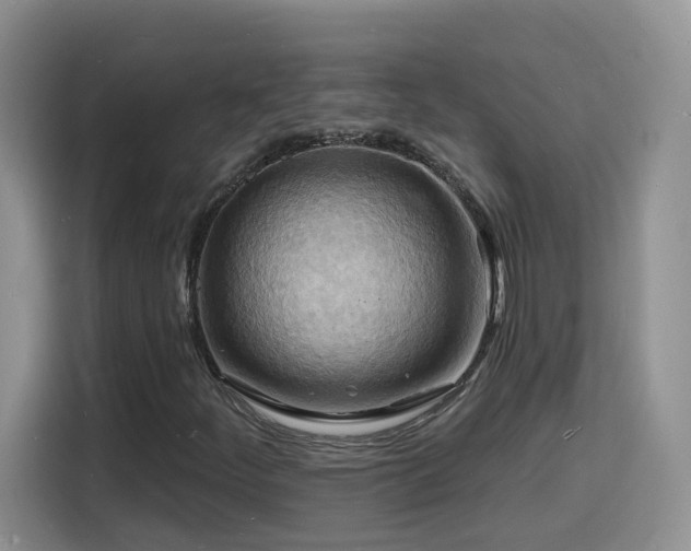X0000116131252200911231228