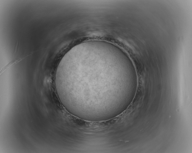X0000116131254200911231228