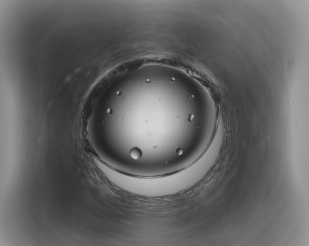 X0000116131256200911231228